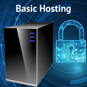 Basic Hosting Plan