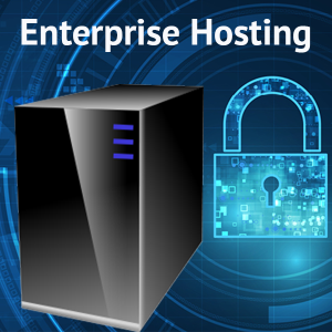 Enterprise Hosting Plan